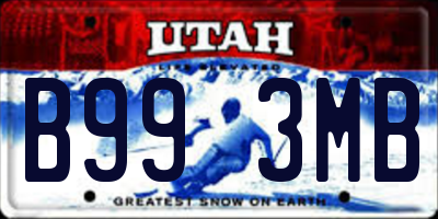 UT license plate B993MB