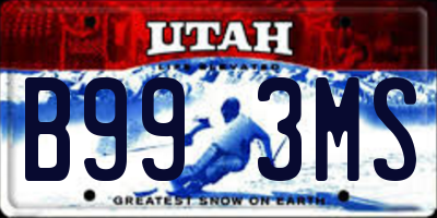 UT license plate B993MS