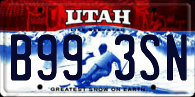 UT license plate B993SN