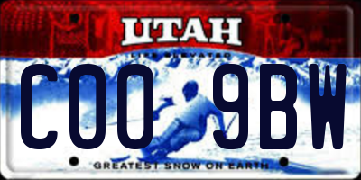 UT license plate C009BW