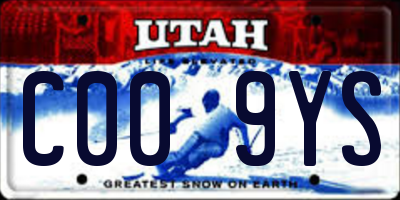 UT license plate C009YS
