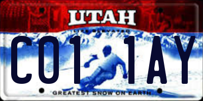 UT license plate C011AY