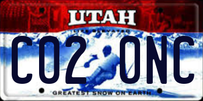 UT license plate C020NC