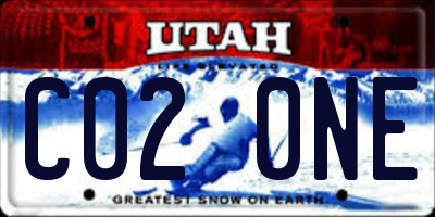 UT license plate C020NE