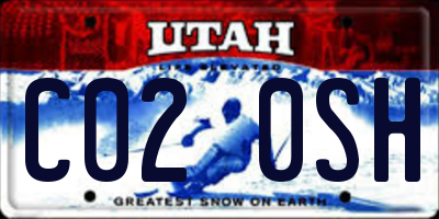 UT license plate C020SH
