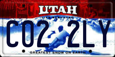 UT license plate C022LY