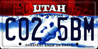 UT license plate C025BM