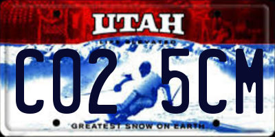 UT license plate C025CM