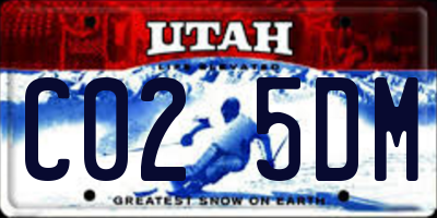 UT license plate C025DM