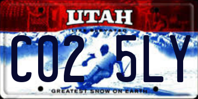 UT license plate C025LY