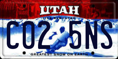 UT license plate C025NS