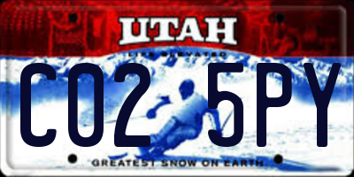 UT license plate C025PY