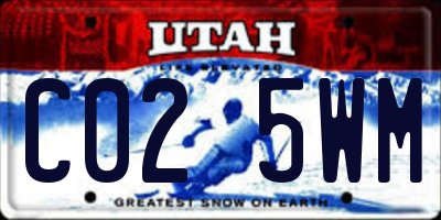 UT license plate C025WM