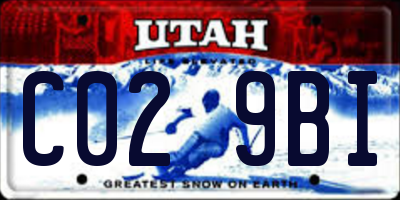 UT license plate C029BI