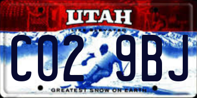 UT license plate C029BJ