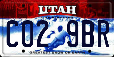 UT license plate C029BR