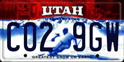 UT license plate C029GW