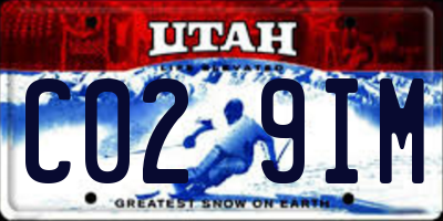 UT license plate C029IM