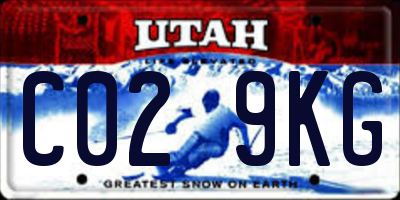 UT license plate C029KG
