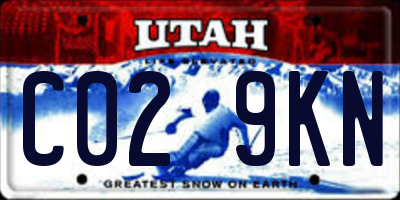 UT license plate C029KN