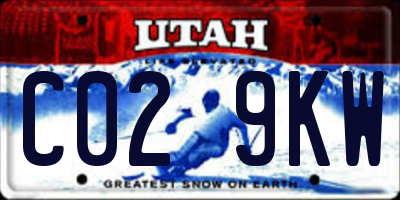 UT license plate C029KW