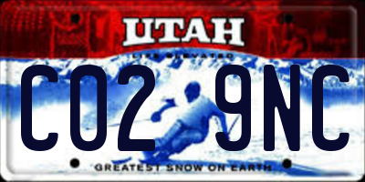 UT license plate C029NC