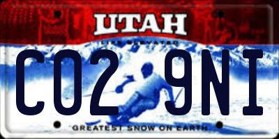 UT license plate C029NI