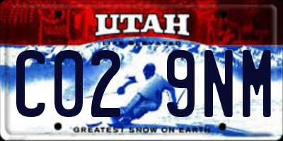 UT license plate C029NM