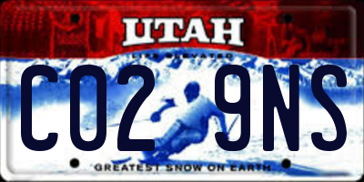 UT license plate C029NS
