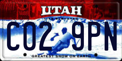 UT license plate C029PN