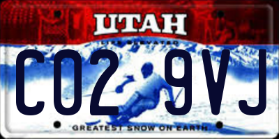UT license plate C029VJ
