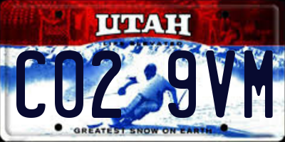 UT license plate C029VM