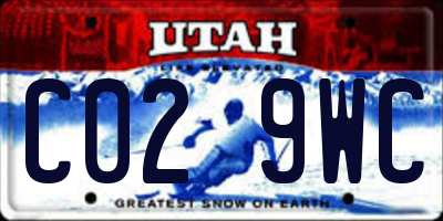 UT license plate C029WC