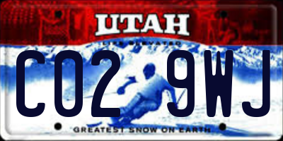 UT license plate C029WJ