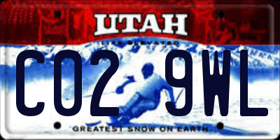 UT license plate C029WL