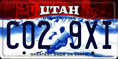 UT license plate C029XI