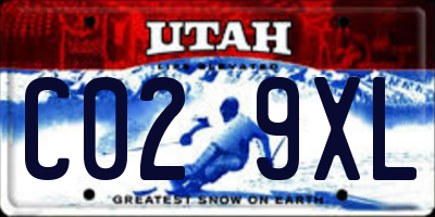 UT license plate C029XL