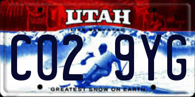 UT license plate C029YG