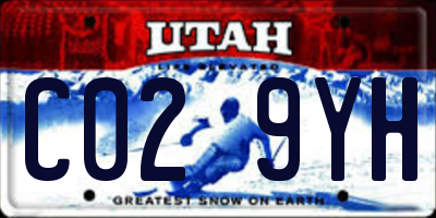 UT license plate C029YH