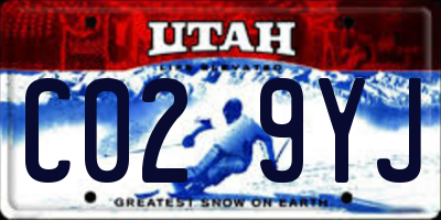 UT license plate C029YJ