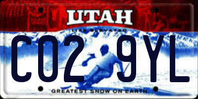 UT license plate C029YL