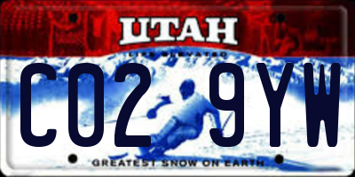 UT license plate C029YW
