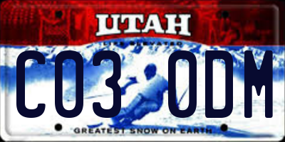 UT license plate C030DM