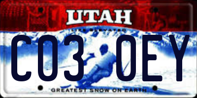 UT license plate C030EY