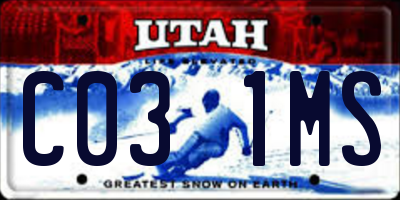 UT license plate C031MS