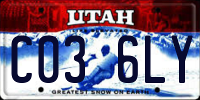 UT license plate C036LY