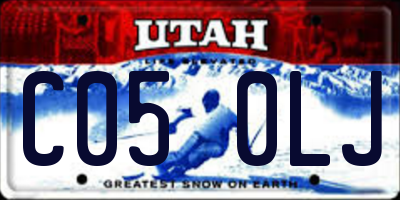 UT license plate C050LJ