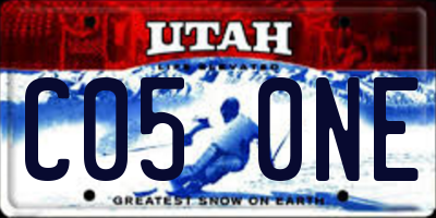 UT license plate C050NE
