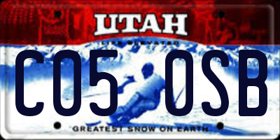 UT license plate C050SB