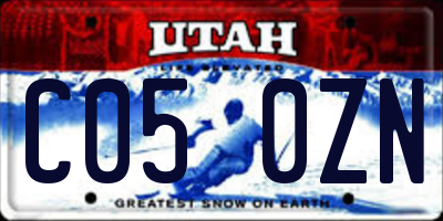 UT license plate C050ZN